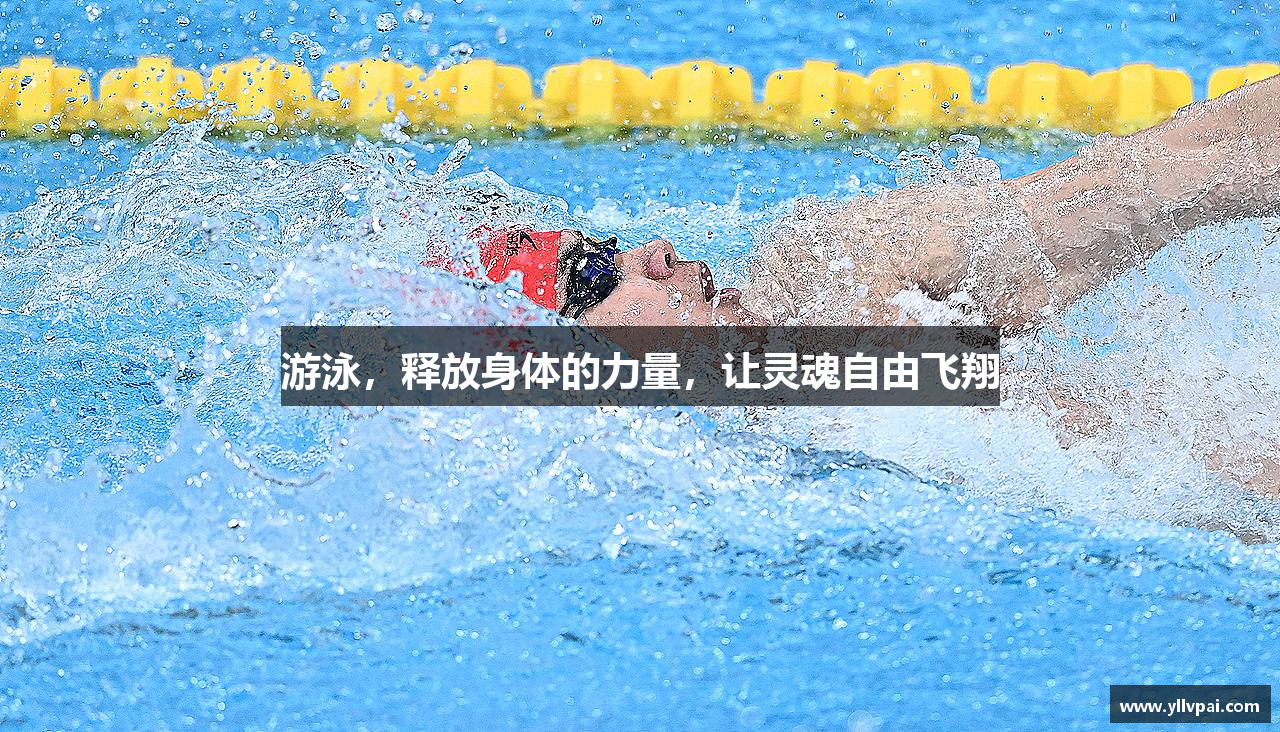 小鸟体育入口官网