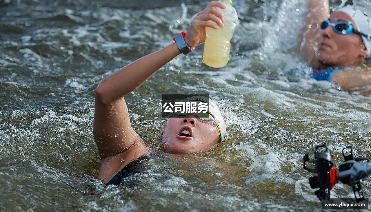 公司服务