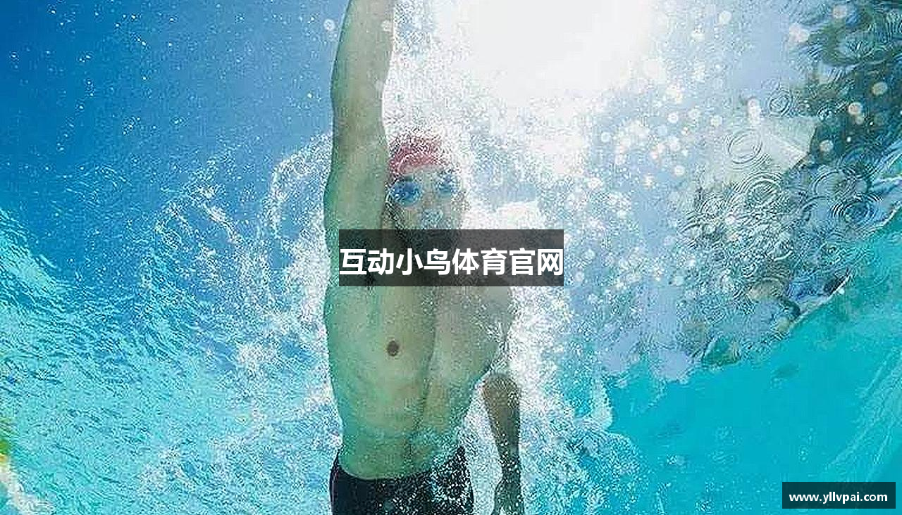 互动小鸟体育官网